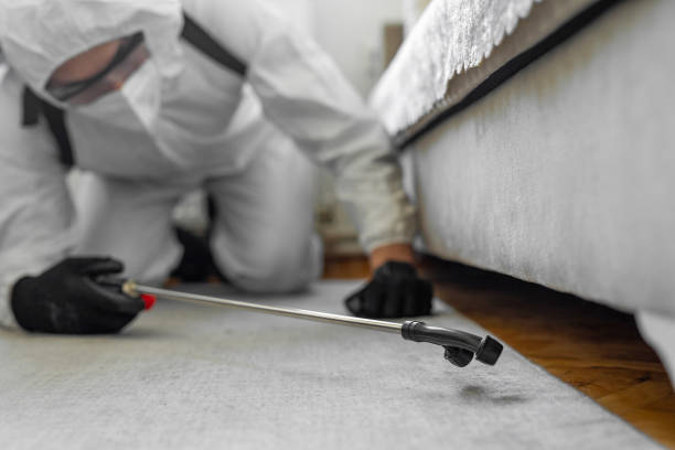 Professional Termite Control technician working in Lyford, TX