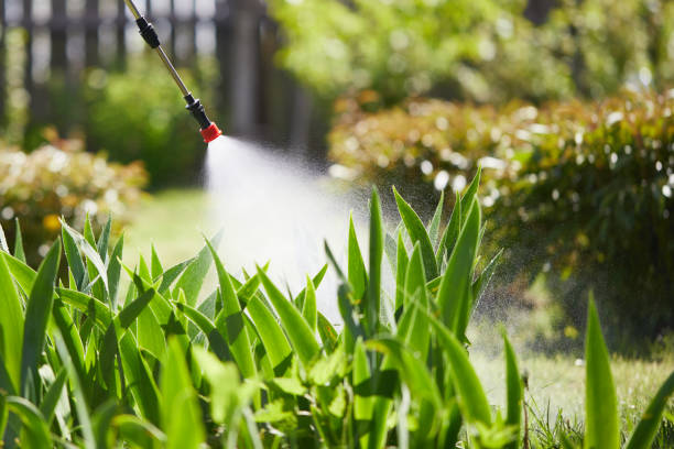 24/7 Emergency Termite Control experts in Lyford, TX